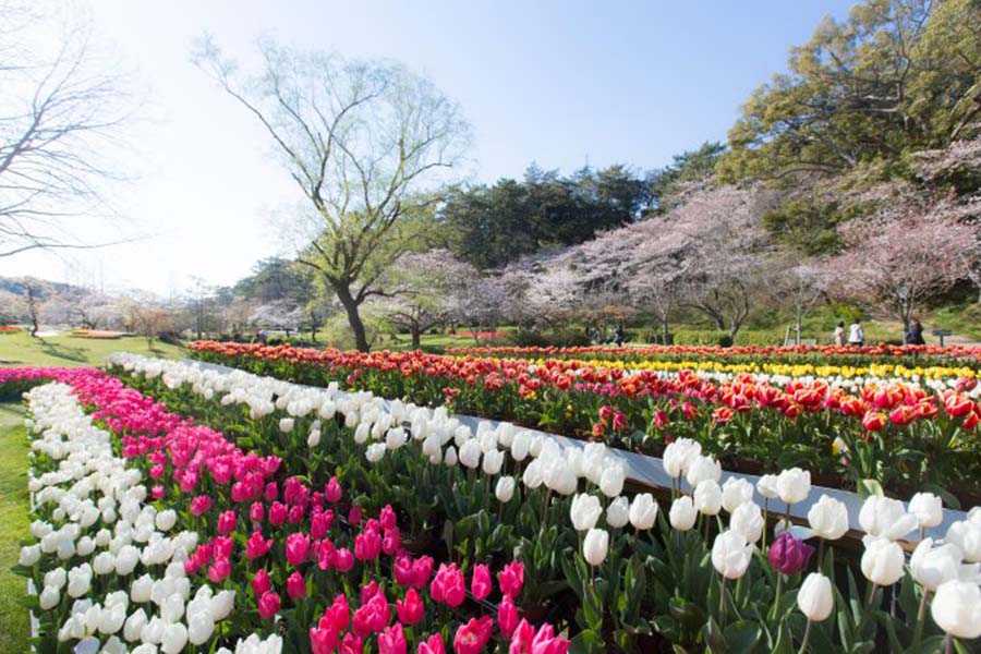 静岡県 浜名湖