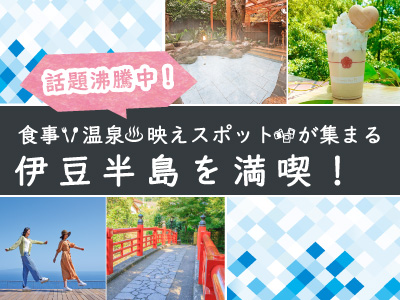 伊豆を満喫