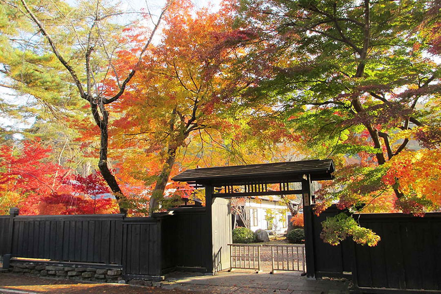 角館紅葉