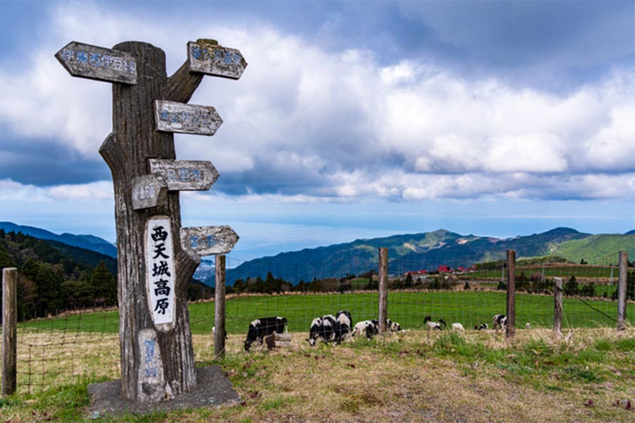 西天城高原・牧場の家