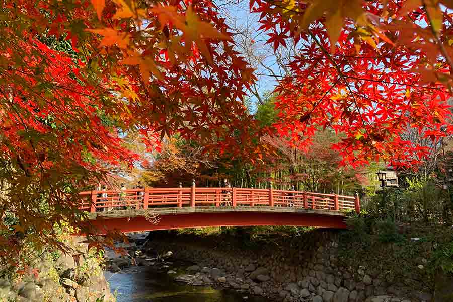 恋の橋めぐり