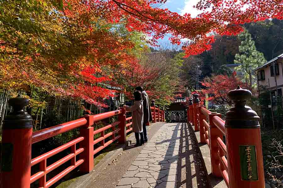 恋の橋めぐり