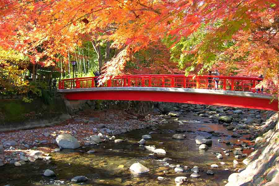 恋の橋めぐり