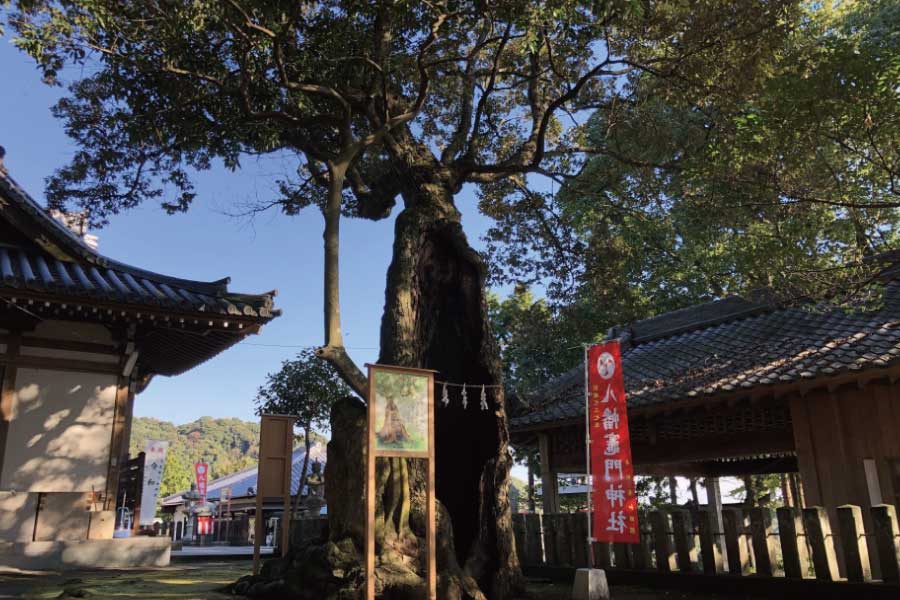 八幡竈門神社