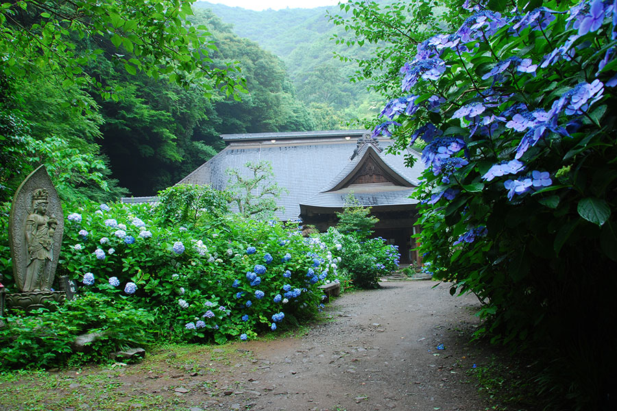 湯本・塔ノ沢エリア