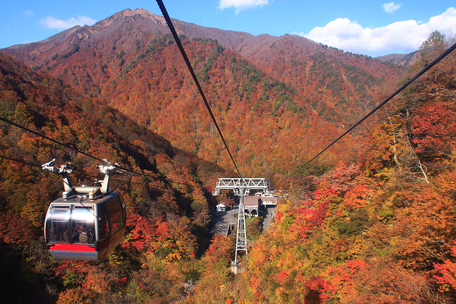 谷川岳ロープウェイ