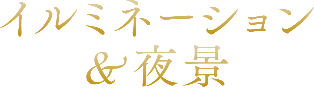 イルミネーション＆夜景