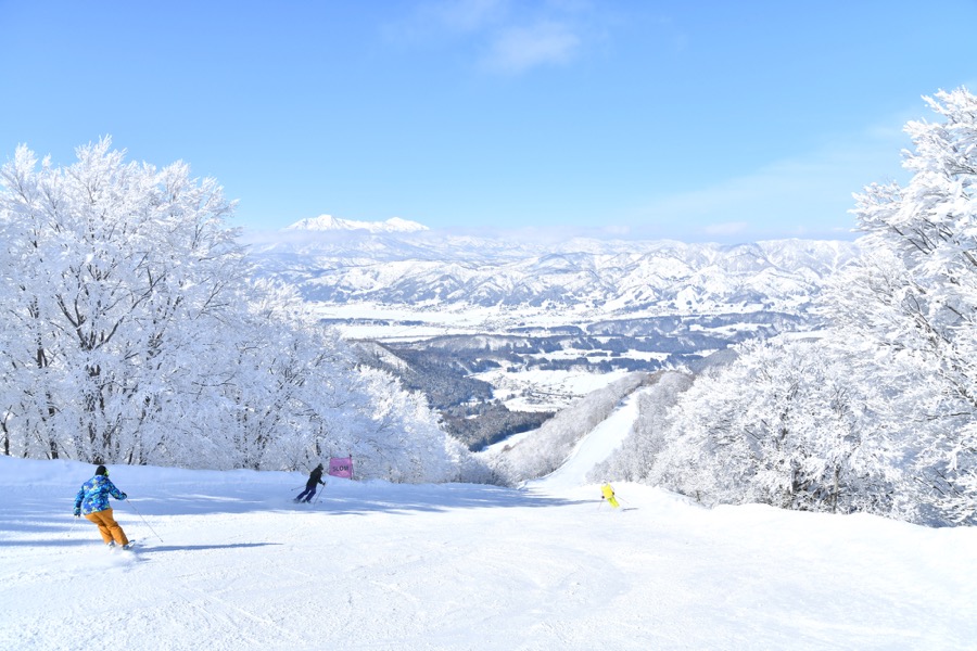 野沢温泉スキー場