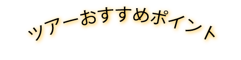ツアーおすすめポイント