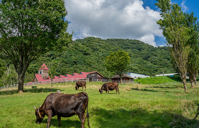 但馬牧場公園