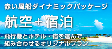 航空+宿泊プラン