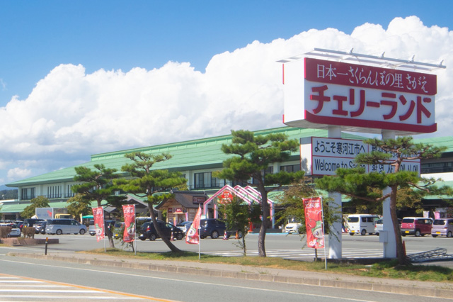 チェリーランドさがえ