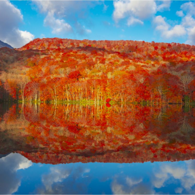 八幡坂