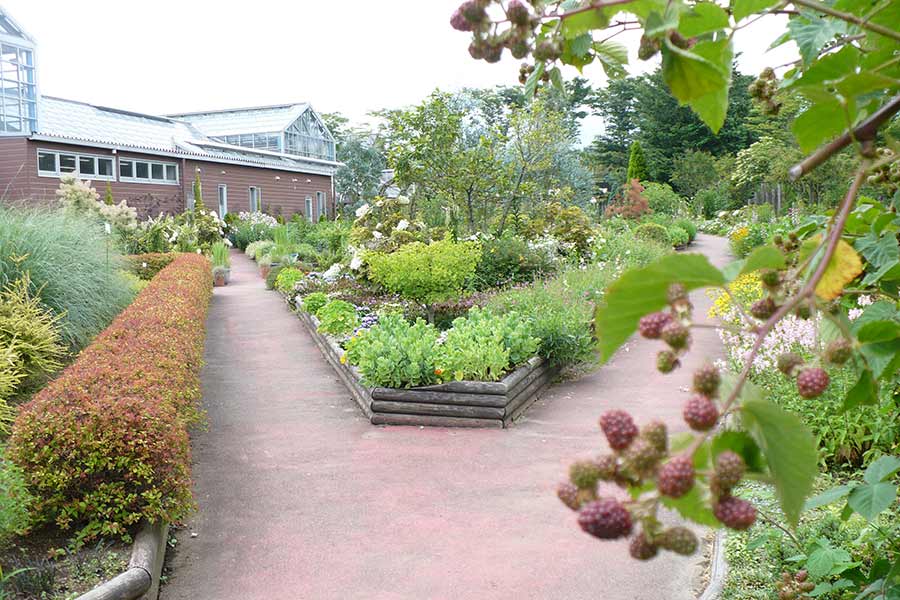 お菓子の城那須ハートランド